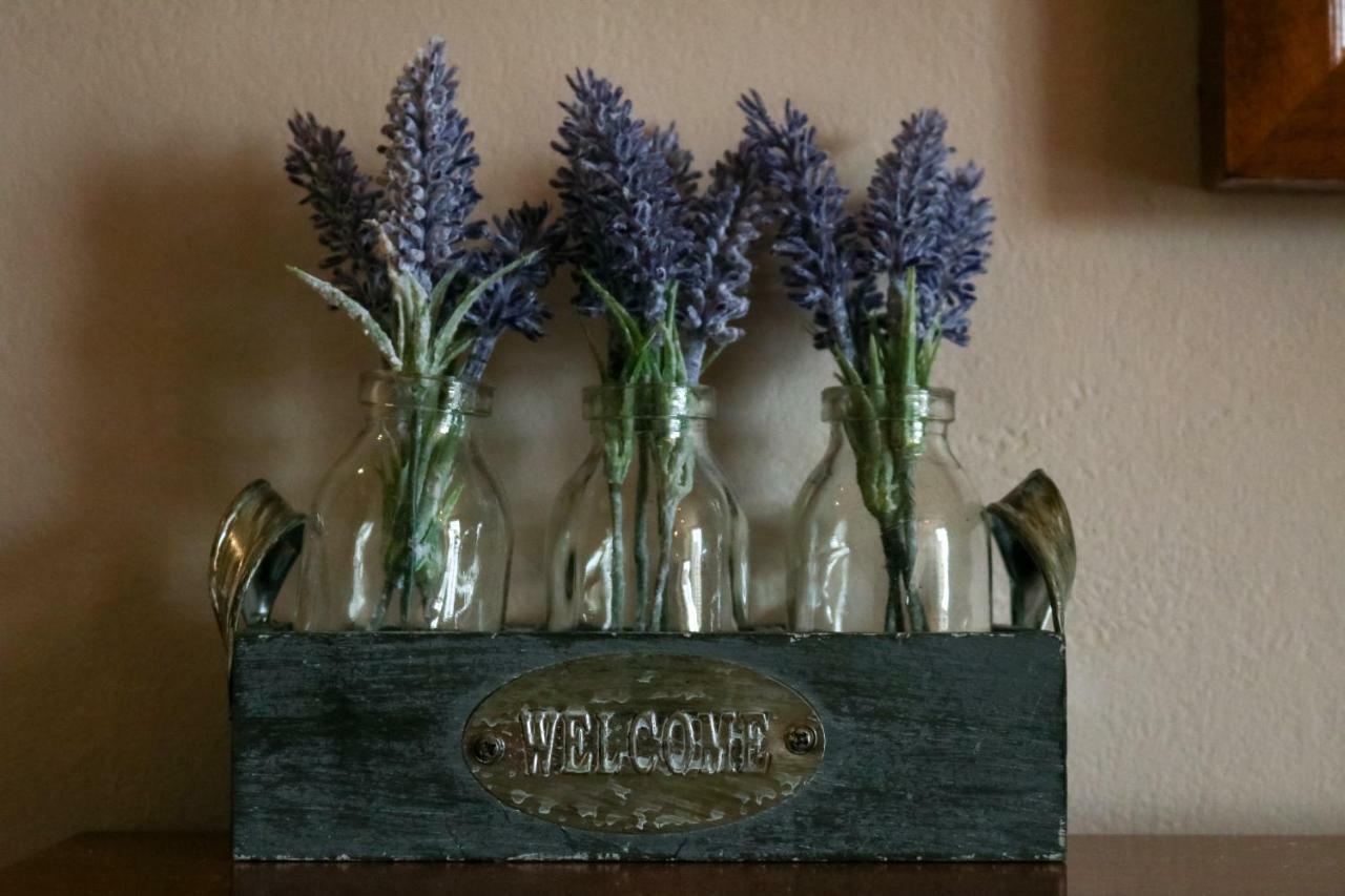 The Hollybush Inn And B&B Priors Marston エクステリア 写真